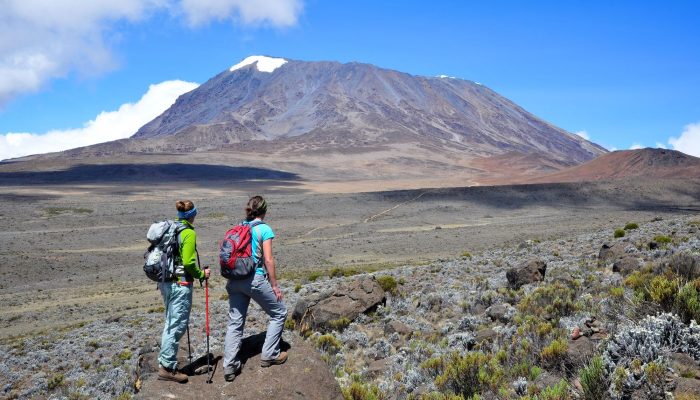 kilimanjaro-climbers-for-beginners-4040462584